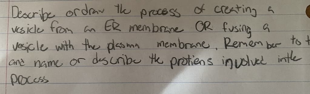 Describe ordraw the
process
of creating a
vesicle from an ER membrane OR fusing a
vesicle with the plasma membrane, Remember to t
and name or describe the protiens involved in the
process