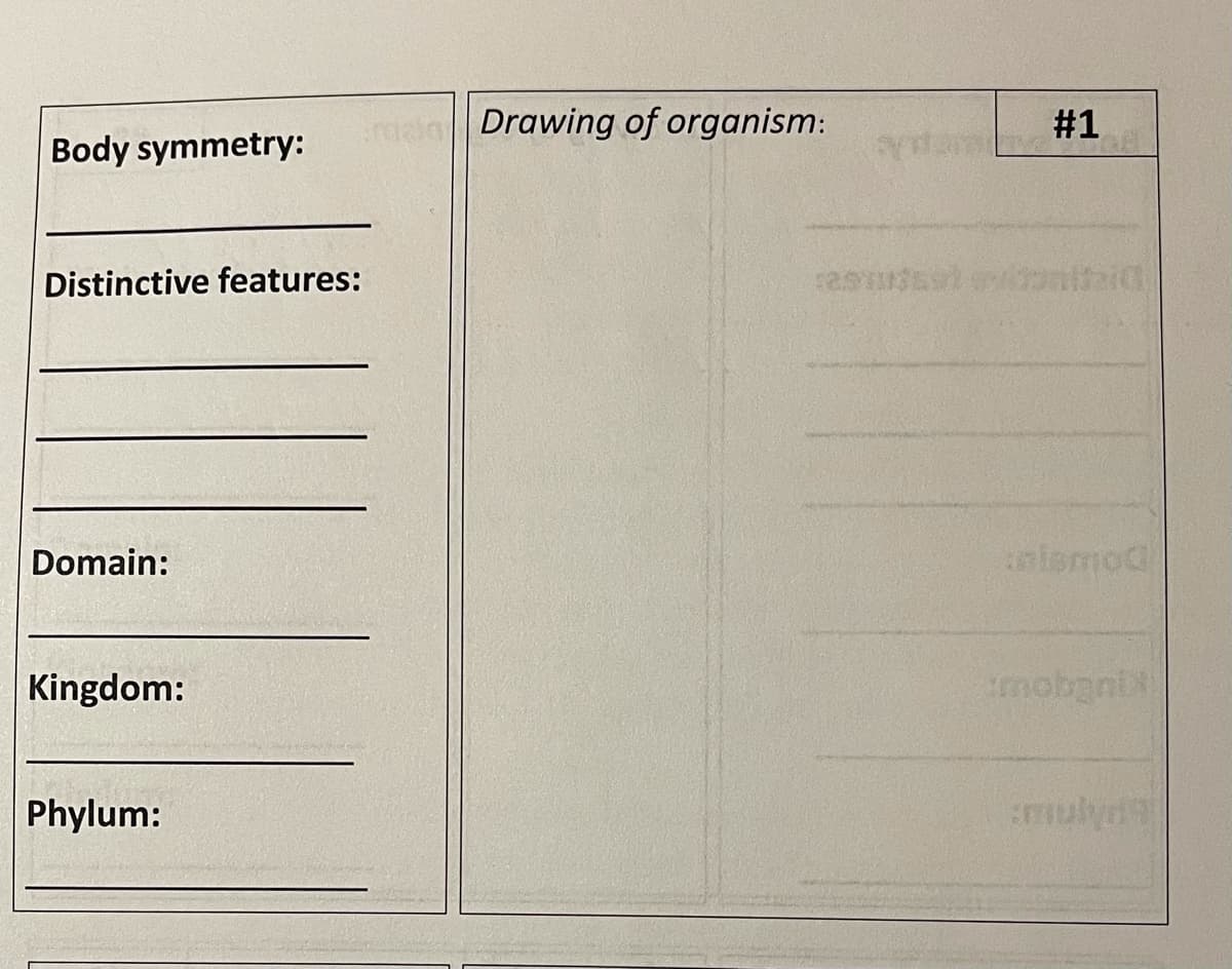 Drawing of organism:
#1
Body symmetry:
Distinctive features:
Domain:
nismod
Kingdom:
mobgnix
Phylum:
mulyr

