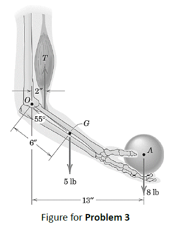 2"
T
-55°
-G
5 lb
13"
Figure for Problem 3
A
8 lb