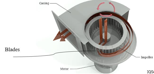 Casing
Blades
Impeller
Motor
IQS
