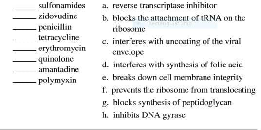 sulfonamides
a. reverse transcriptase inhibitor
zidovudine
b. blocks the attachment of tRNA on the
penicillin
tetracycline
erythromycin
quinolone
ribosome
c. interferes with uncoating of the viral
envelope
d. interferes with synthesis of folic acid
amantadine
polymyxin
e. breaks down cell membrane integrity
f. prevents the ribosome from translocating
g. blocks synthesis of peptidoglycan
h. inhibits DNA gyrase
