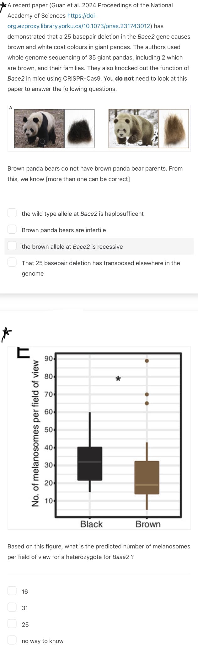 A recent paper (Guan et al. 2024 Proceedings of the National
Academy of Sciences https://doi-
org.ezproxy.library.yorku.ca/10.1073/pnas.231743012)
has
demonstrated that a 25 basepair deletion in the Bace2 gene causes
brown and white coat colours in giant pandas. The authors used
whole genome sequencing of 35 giant pandas, including 2 which
are brown, and their families. They also knocked out the function of
Bace2 in mice using CRISPR-Cas9. You do not need to look at this
paper to answer the following questions.
Brown panda bears do not have brown panda bear parents. From
this, we know [more than one can be correct]
0000
the wild type allele at Bace2 is haplosufficent
Brown panda bears are infertile
the brown allele at Bace2 is recessive
That 25 basepair deletion has transposed elsewhere in the
genome
Է
No. of melanosomes per field of view
90
40
30
20
8 ཆེ ཥཾ  ྃ  ྴ སྐྱེ à ྜ
80
70
60
50
은 100
Black
*
Brown
Based on this figure, what is the predicted number of melanosomes
per field of view for a heterozygote for Base2?
0000
16
31
25
no way to know