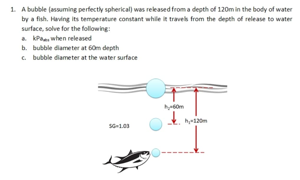 1. A bubble (assuming perfectly spherical) was released from a depth of 120m in the body of water
by a fish. Having its temperature constant while it travels from the depth of release to water
surface, solve for the following:
a. kPaabs when released
b. bubble diameter at 60m depth
c. bubble diameter at the water surface
h2=60m
h,=120m
SG=1.03
