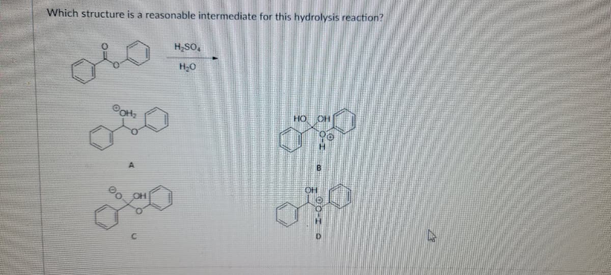 Which structure is a reasonable intermediate for this hydrolysis reaction?
H;SO,
H-0
HO
OH
