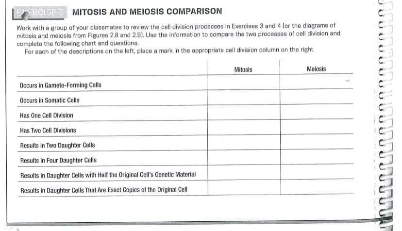 EXERCISE 5 MITOSIS AND MEIOSIS COMPARISON
Work with a group of your classmates to review the cell division processes in Exercises 3 and 4 (or the diagrams of
mitosis and meiosis from Figures 2.8 and 2.9). Use the information to compare the two processes of cell division and
complete the following chart and questions.
For each of the descriptions on the left, place a mark in the appropriate cell division column on the right.
Occurs in Gamete-Forming Cells
Occurs in Somatic Cells
Has One Cell Division
Has Two Cell Divisions
Results in Two Daughter Cells
Results in Four Daughter Cells
Results in Daughter Cells with Half the Original Cell's Genetic Material
Results in Daughter Cells That Are Exact Copies of the Original Cell
Mitosis
Meiosis
