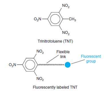 NO,
O,N-
-CH3
NO,
Trinitrotoluene (TNT)
NO,
Flexible
link
Fluorescent
group
O,N -
NO2
Fluorescently labeled TNT
