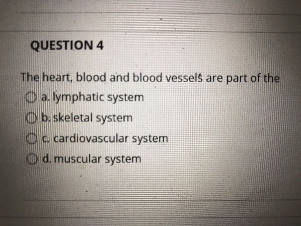 QUESTION 4
The heart, blood and blood vessels are part of the
O a. lymphatic system
O b: skeletal system
Oc. cardiovascular system
O d. muscular system
