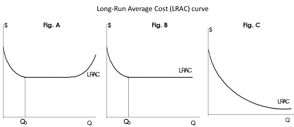 Long-Run Average Cost (LRAC) curve
Fig. B
$
Fig. A
$
8
LRAC
0
8
LRAC
Fig. C
0
LRAC
Q
