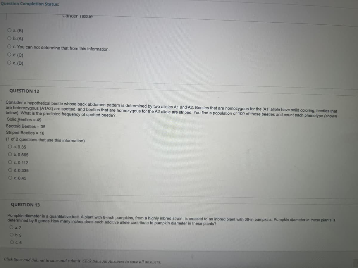 Question Completion Status:
Cancer Tissue
O a. (B)
O b. (A)
O c. You can not determine that from this information.
O d. (C)
O e. (D)
QUESTION 12
Consider a hypothetical beetle whose back abdomen pattern is determined by two alleles A1 and A2. Beetles that are homozygous for the 'A1' allele have solid coloring, beetles that
are heterozygous (A1A2) are spotted, and beetles that are homozygous for the A2 allele are striped. You find a population of 100 of these beetles and count each phenotype (shown
below). What is the predicted frequency of spotted beetle?
Solid Beetles = 49
Spotted Beetles = 35
Striped Beetles = 16
(1 of 2 questions that use this information)
O a. 0.35
O b. 0.665
O c. 0.112
O d. 0.335
O e. 0.45
QUESTION 13
Pumpkin diameter is a quantitative trait. A plant with 8-inch pumpkins, from a highly inbred strain, is crossed to an inbred plant with 38-in pumpkins. Pumpkin diameter in these plants is
determined by 5 genes. How many inches does each additive allele contribute to pumpkin diameter in these plants?
O a. 2
O b. 3
O c. 5
Click Save and Submit to save and submit. Click Save All Answers to save all answers.