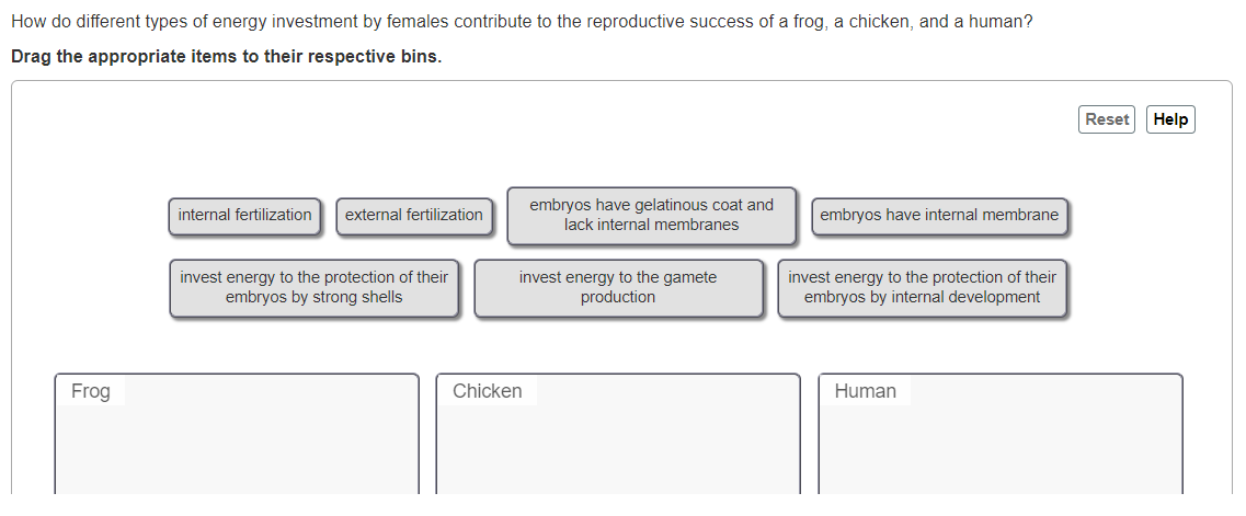 How do different types of energy investment by females contribute to the reproductive success of a frog, a chicken, and
human?
Drag the appropriate items to their respective bins.
Reset
Help
embryos have gelatinous coat and
lack internal membranes
internal fertilization
external fertilization
embryos have internal membrane
invest energy to the protection of their
embryos by strong shells
invest energy to the gamete
production
invest energy to the protection of their
embryos by internal development
Frog
Chicken
Human
