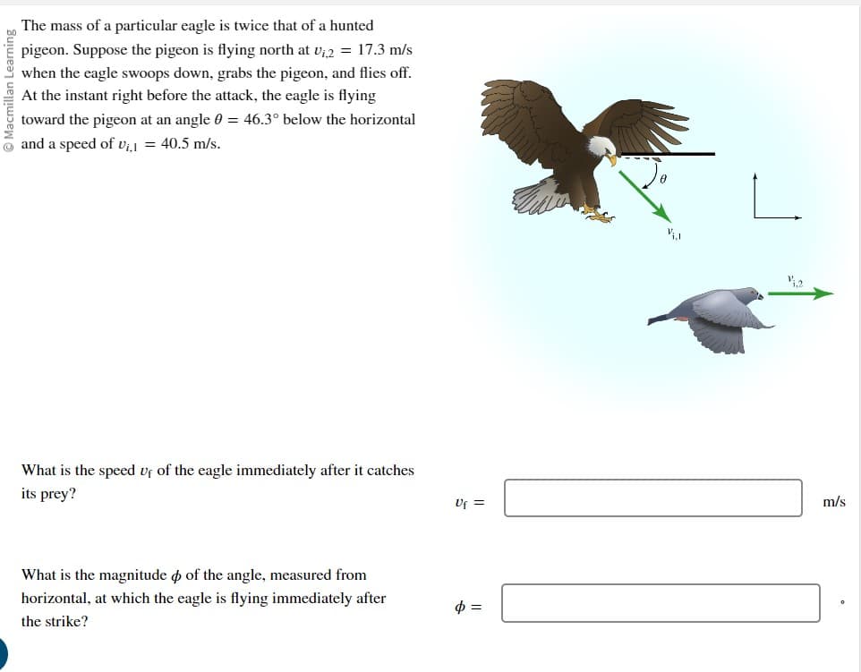 Learning
The mass of a particular eagle is twice that of a hunted
pigeon. Suppose the pigeon is flying north at V2 = 17.3 m/s
when the eagle swoops down, grabs the pigeon, and flies off.
At the instant right before the attack, the eagle is flying
toward the pigeon at an angle 0 = 46.3° below the horizontal
and a speed of Vil = 40.5 m/s.
What is the speed of of the eagle immediately after it catches
its prey?
What is the magnitude
of the angle, measured from
horizontal, at which the eagle is flying immediately after
the strike?
V1.2
Uf =
m/s
$ =