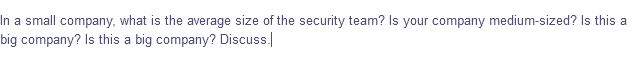 In a small company, what is the average size of the security team? Is your company medium-sized? Is this a
big company? Is this a big company? Discuss.|
