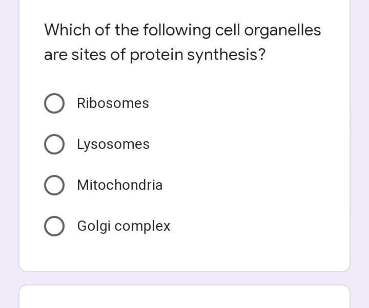 Which of the following cell organelles
are sites of protein synthesis?
O Ribosomes
O Lysosomes
O Mitochondria
O Golgi complex
