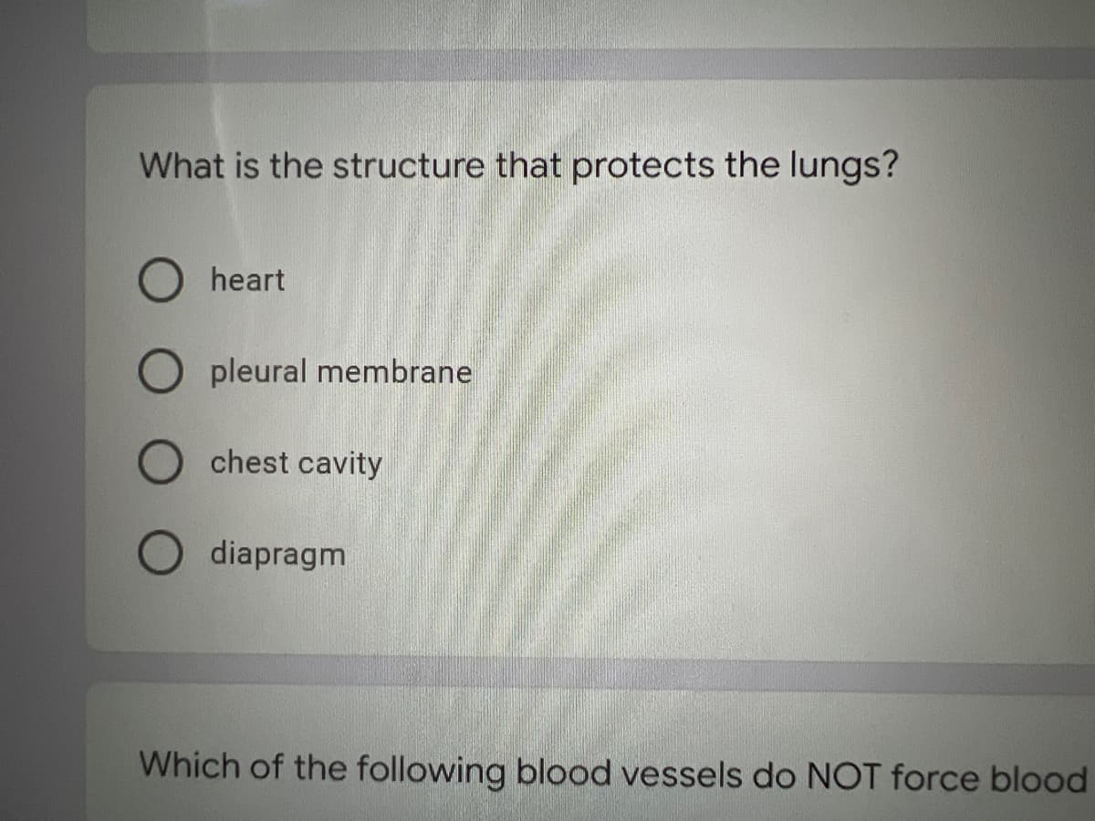 What is the structure that protects the lungs?
heart
pleural membrane
chest cavity
diapragm
Which of the following blood vessels do NOT force blood