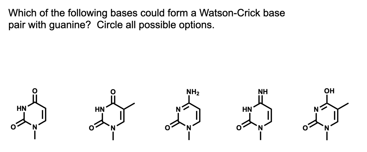 Which of the following bases could form a Watson-Crick base
pair with guanine? Circle all possible options.
NH₂
NH
OH
HN
$ $ $ $ $
HN
HN
'N
'N
N
N