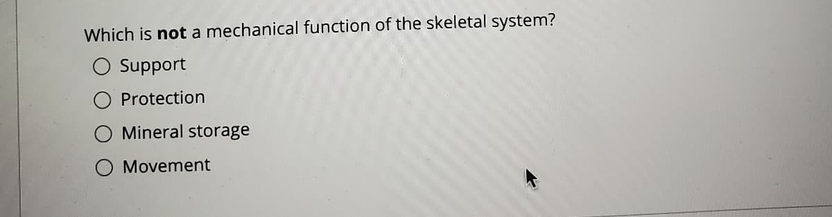 Which is not a mechanical function of the skeletal system?
Support
Protection
Mineral storage
Movement
