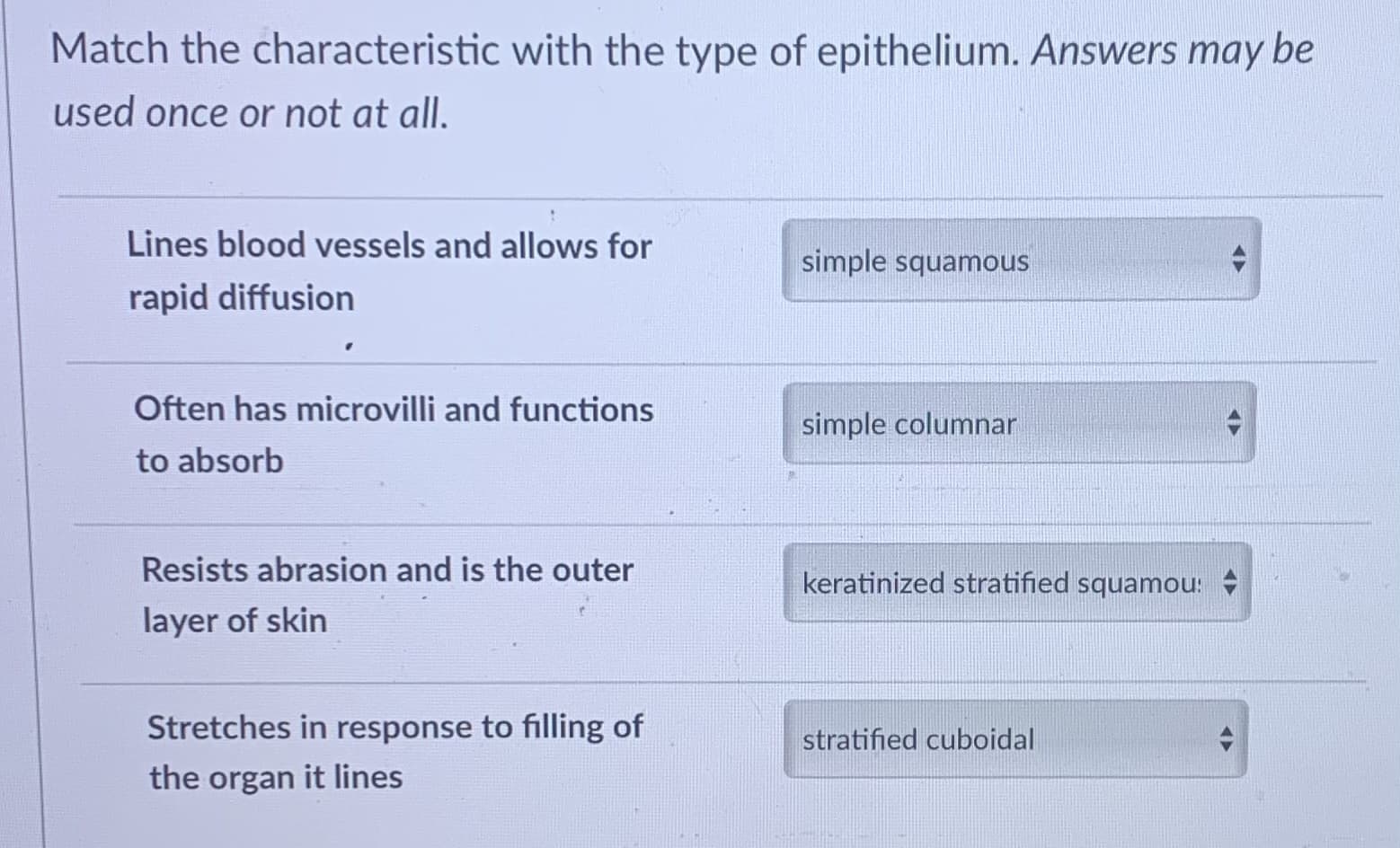 Lines blood vessels and allows for
simple squamous
rapid diffusion
Often has microvilli and functions
simple columnar
to absorb
Resists abrasion and is the outer
keratinized stratified squamou:
layer of skin
Stretches in response to filling of
stratified cuboidal
