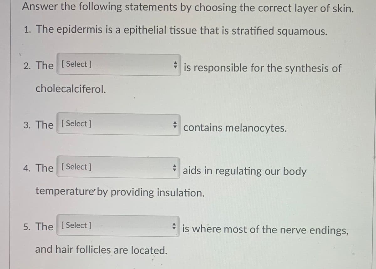 Answer the following statements by choosing the correct layer of skin.
1. The epidermis is a epithelial tissue that is stratified squamous.
2. The [Select ]
is responsible for the synthesis of
cholecalciferol.
3. The [Select ]
* contains melanocytes.
4. The [Select ]
* aids in regulating our body
temperature by providing insulation.
5. The [Select ]
* is where most of the nerve endings,
and hair follicles are located.
