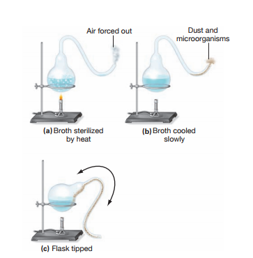 Air forced out
Dust and
microorganisms
(a) Broth sterilized
by heat
(b) Broth cooled
slowly
(c) Flask tipped
