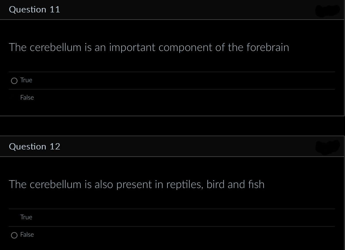 Question 11
The cerebellum is an important component of the forebrain
True
False
Question 12
The cerebellum is also present in reptiles, bird and fish
True
False