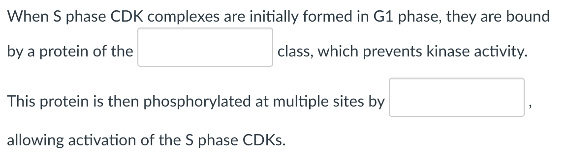 When S phase CDK complexes are initially formed in G1 phase, they are bound
by a protein of the
class, which prevents kinase activity.
This protein is then phosphorylated at multiple sites by
allowing activation of the S phase CDKs.