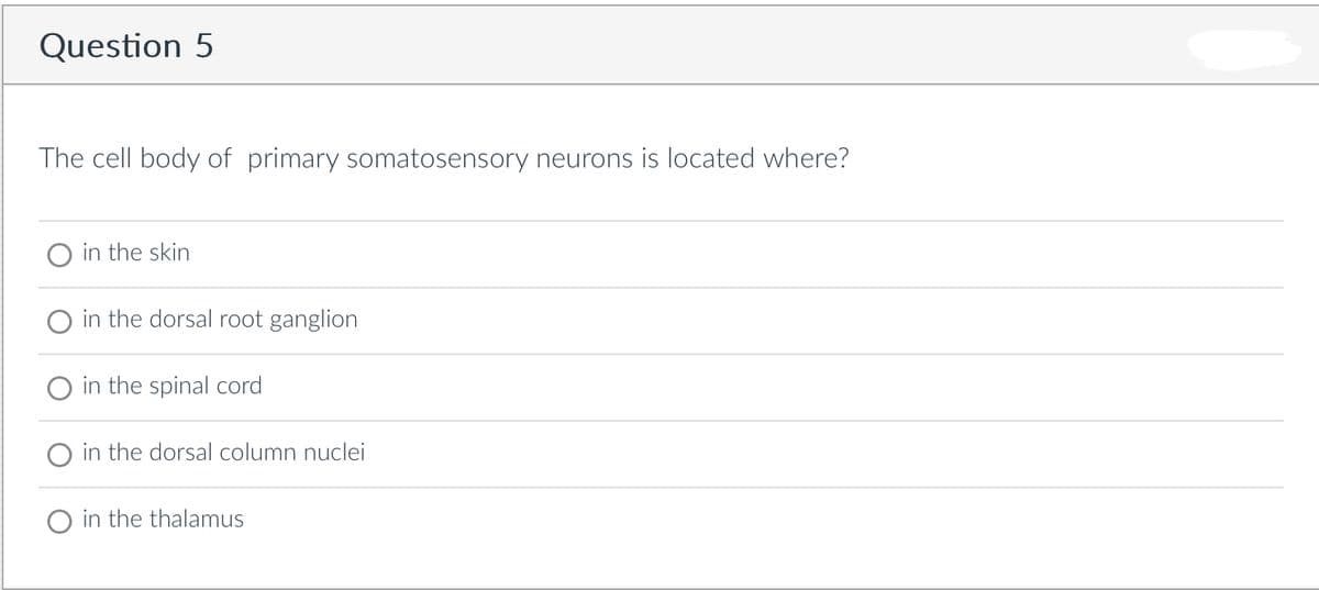 Question 5
The cell body of primary somatosensory neurons is located where?
in the skin
in the dorsal root ganglion
in the spinal cord
in the dorsal column nuclei
O in the thalamus