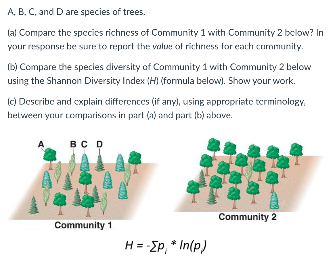 A, B, C, and D are species of trees.
(a) Compare the species richness of Community 1 with Community 2 below? In
your response be sure to report the value of richness for each community.
(b) Compare the species diversity of Community 1 with Community 2 below
using the Shannon Diversity Index (H) (formula below). Show your work.
(c) Describe and explain differences (if any), using appropriate terminology,
between your comparisons in part (a) and part (b) above.
A
BC D
Community 1
H = -Σp;* In(p)
Community 2