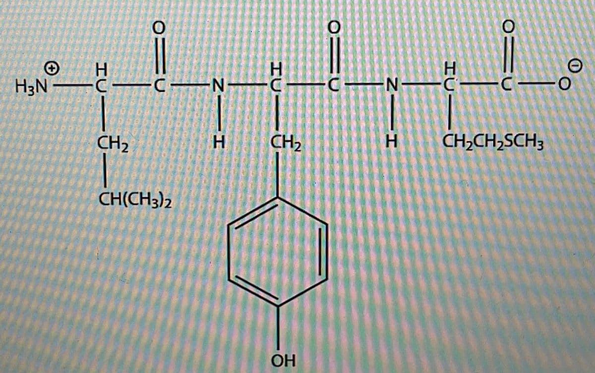H3N C
H.
-CE
N-
CH2
H.
CH2
CH,CH,SCH3
劃
CH(CH3)2
OH
HCI
NIH
