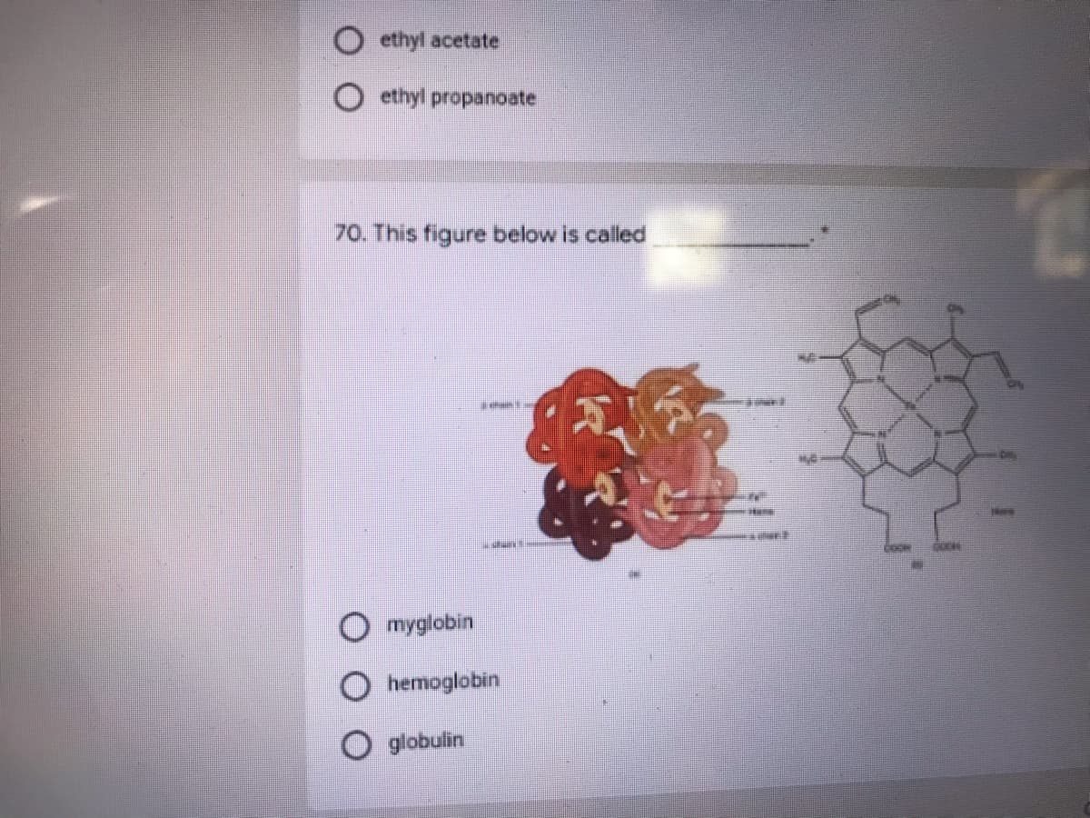 ethyl acetate
ethyl propanoate
70. This figure below is called
O myglobin
hemoglobin
globulin
