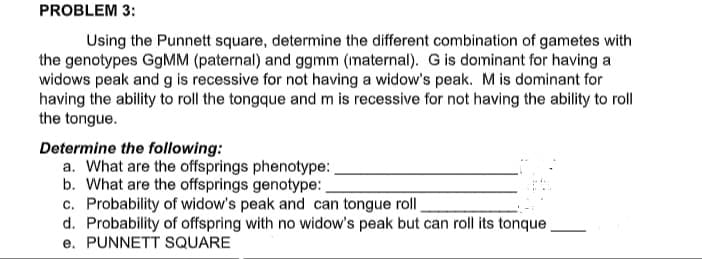 PROBLEM 3:
Using the Punnett square, determine the different combination of gametes with
the genotypes G9MM (paternal) and ggmm (maternal). G is dominant for having a
widows peak and g is recessive for not having a widow's peak. M is dominant for
having the ability to roll the tongque and m is recessive for not having the ability to roll
the tongue.
Determine the following:
a. What are the offsprings phenotype:
b. What are the offsprings genotype:
c. Probability of widow's peak and can tongue roll
d. Probability of offspring with no widow's peak but can roll its tonque
e. PUNNETT SQUARE
