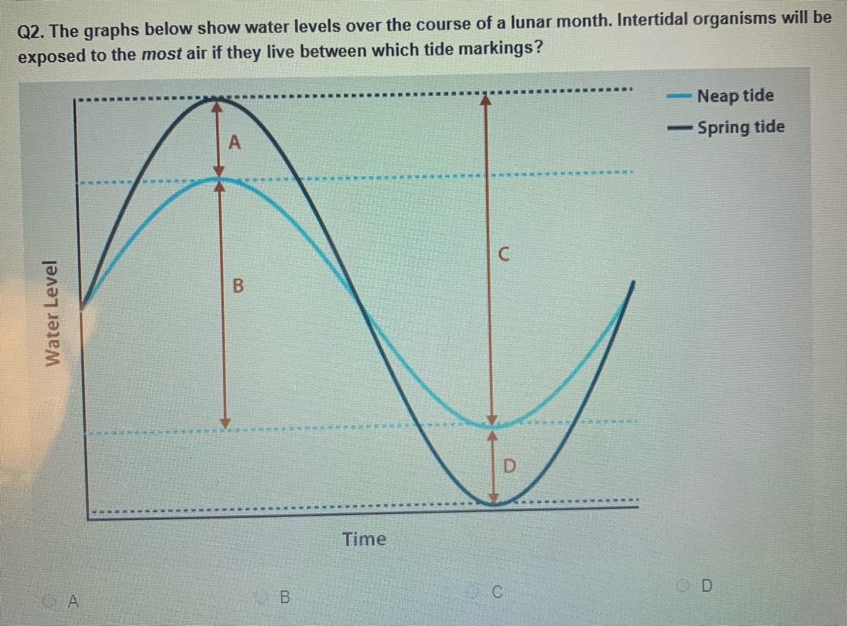 Q2. The graphs below show water levels over the course of a lunar month. Intertidal organisms will be
exposed to the most air if they live between which tide markings?
Neap tide
Spring tide
|
Time
A
B.
Water Level
B.
