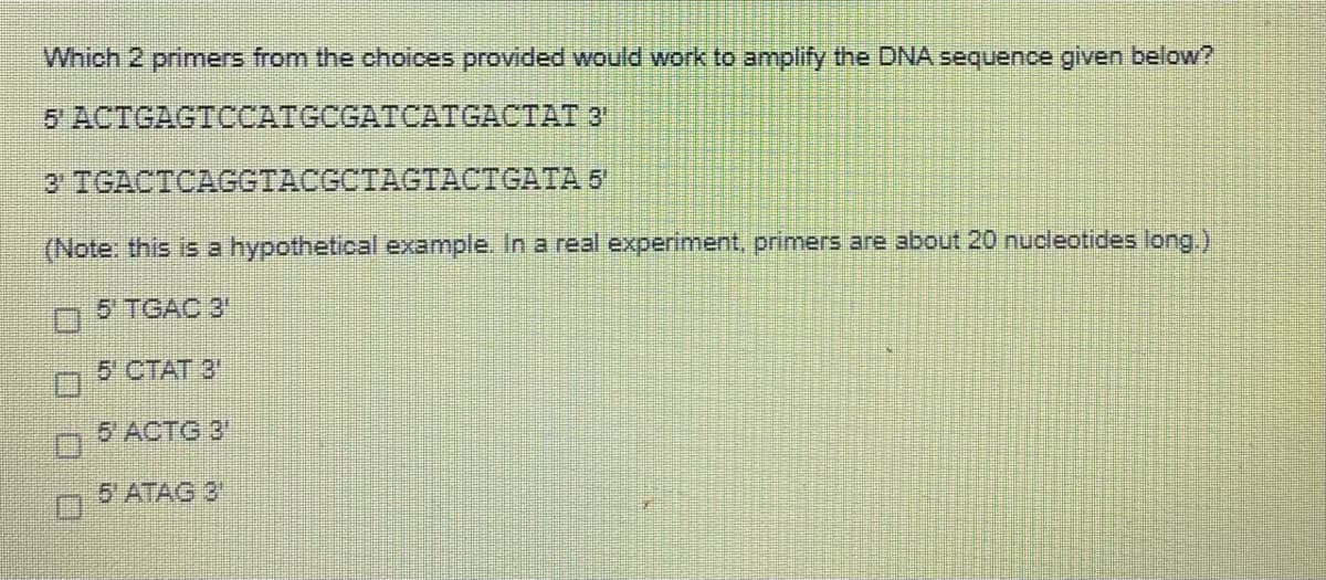 Which 2 primers from the choices provided would work to amplify the DNA sequence given below?
5 АCTGAGTCСАТСCGATCATGACTAT 3
3 TGACTCAGGTACGCTAGTACTGATA 6
(Note: this is a hypothetical example. In a real experiment, primers are about 20 nucleotides long.)
5 TGAC 3'
5 CTAT 3'
5 ACTG 3
5'ATAG 3
