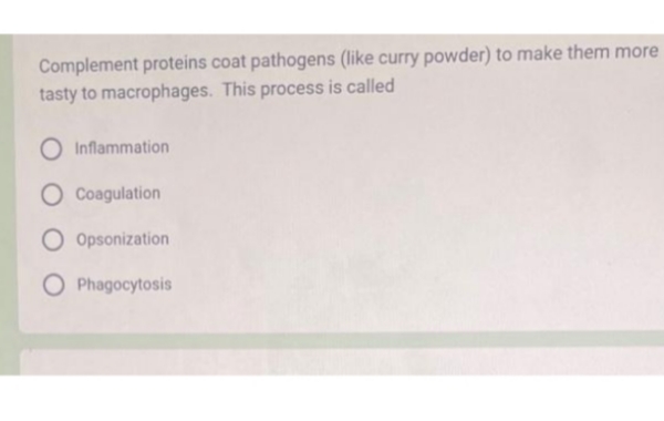 Complement proteins coat pathogens (like curry powder) to make them more
tasty to macrophages. This process is called
O Inflammation
O Coagulation
Opsonization
OPhagocytosis