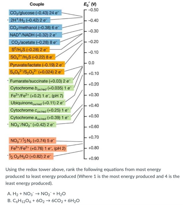 Couple
E (M
-0.50
Co/glucose (-0.43) 24 e
· 2H*/H2 (-0.42) 2 e
- -0.40
CO/methanol (-0.38) 6 e
NAD+/NADH (-0.32) 2 e
--0.30
CO2/acetate (-0.28) 8 e
-0.20
S/H,S (-0.28) 2 e
-0.10
so,/H,S (-0.22) 8 e
-0.0
Pyruvate/lactate (-0.19) 2 e
S,0.-/S,0,2- (+0.024) 2 e
+0.10
· Fumarate/succinate (+0.03) 2 e
-+0.20
Cytochrome boxired (+0.035) 1 e
Fe3+/Fe2* (+0.2) 1 e, (pH 7)
+0.30
Ubiquinoneox/red (+0.11) 2 e
+0.40
Cytochrome cox/red (+0.25) 1 e
+0.50
Cytochrome aoxlred (+0.39) 1 e
· NO3/NO, (+0.42) 2 e
+0.60
+0.70
NO3½N2 (+0.74) 5 e
Fe3+/Fe2+ (+0.76) 1 e, (pH 2)
+0.80
k O/H,0 (+0.82) 2 e
+0.90
Using the redox tower above, rank the following equations from most energy
produced to least energy produced (Where 1 is the most energy produced and 4 is the
least energy produced).
A. H2 + NO3 → NO2 + H20
B. C6H1206 + 602 → 6CO2 + 6H2O
