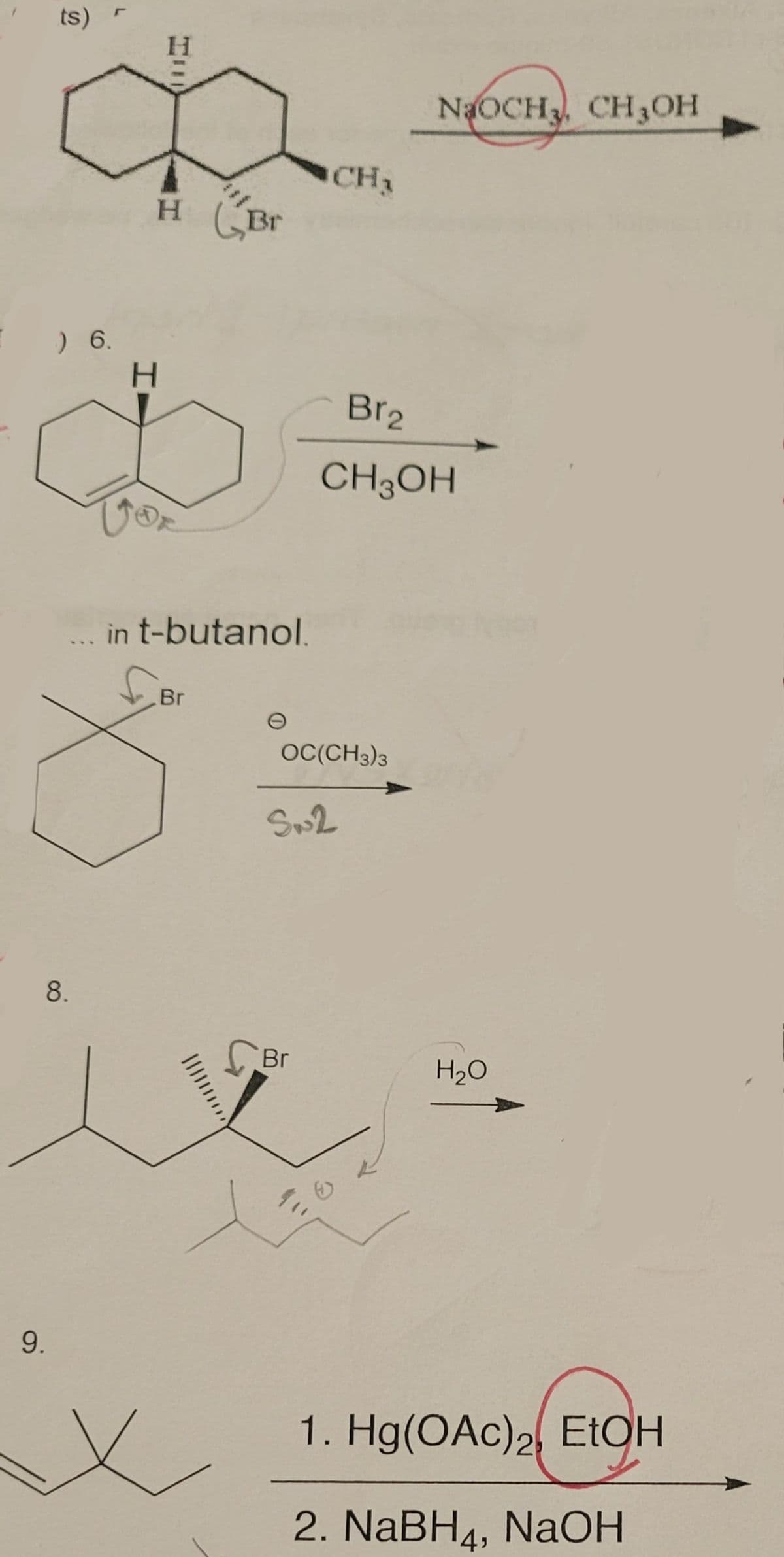 ts)
H.
NaOCH3, CH3OH
CH2
H (Br
) 6.
H.
Br2
CH3OH
in t-butanol.
Br
OC(CH3)3
Sw2
8.
Br
H20
9.
1. Hg(OAc)2 EŁOH
2. NaBH4, NaOH
