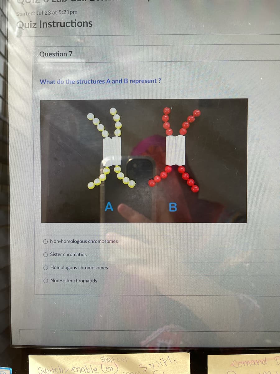 Started: Jul 23 at 5:21pm
Quiz Instructions
Question 7
What do the structures A and B represent ?
O Non-homologous chromosomes
O Sister chromatids
O Homologous chromosomes
O Non-sister chromatids
Short cut
Switch> enable Cen)
Comand
B

