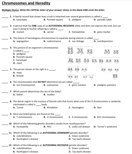 Chromosomes
and Heredity
Multiple Choice: Write the CAPITAL letter of your answer choice in the blank AND circle the letter.
1. A family record that shows how a trait is inherited over several generations is called a
A. karyotype
B. Punnett square C. pedigree
2. A person that has ONE copy of an AUTOSOMAL RECESSIVE allele and does not express the trait, but can
pass it along to his/her offspring is called a
A. mutant
B. carrier
C. hemophiliac
D. gene marker
3. The failure of homologous
A. segregation
4. This picture of an organism's chromosomes
is called a
A. pedigree
B. Punnett square
C. karyotype
D. chart
chromosomes to separate during meiosis is called
B. codominance
C. sex-linkage
78 38 88
28 XX
XK X 85 X5 88 88 88
AA AB on
5. The person shown at the right is a
A. male
B.
female
6. The chromosomes that DO NOT determine sex are called
A. sex chromosomes
B. autosomes
7. Which parent determines the sex of the baby?
A. father
B. mother
body.
B. Klinefelter
****
9. Most sex-linked genes are found on the
A. Y chromosome
B. O chromosome
C. gene markers
8. The dense region in the nucleus of female cells that forms when one of the X chromosomes is randomly
inactivated is called a
A. Turner
C. Huntington
D. Barr
C. X chromosome
D. periodic table
10. Which of the following genetic disorders results from nondisjunction?
A. hemophilia
B. PKU
11. Which of the following is an AUTOSOMAL DOMINANT genetic disorder?
A. colorblindness
C. Down syndrome
B. Huntington's disease
D. Tay-Sachs disease
D. nondisjunction
12. Which of the following is an AUTOSOMAL RECESSIVE genetic disorder?
A. colorblindness
C. Down syndrome
B. Huntington's disease
D. Tay-Sachs disease
XX ** *K
88
D. pedigree partners
C. sickle cell disease D. Tumer's syndrome
D. #21 chromosome