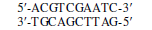 5'-ACGTCGAATC-3'
3'-TGCAGCTT AG-5'
