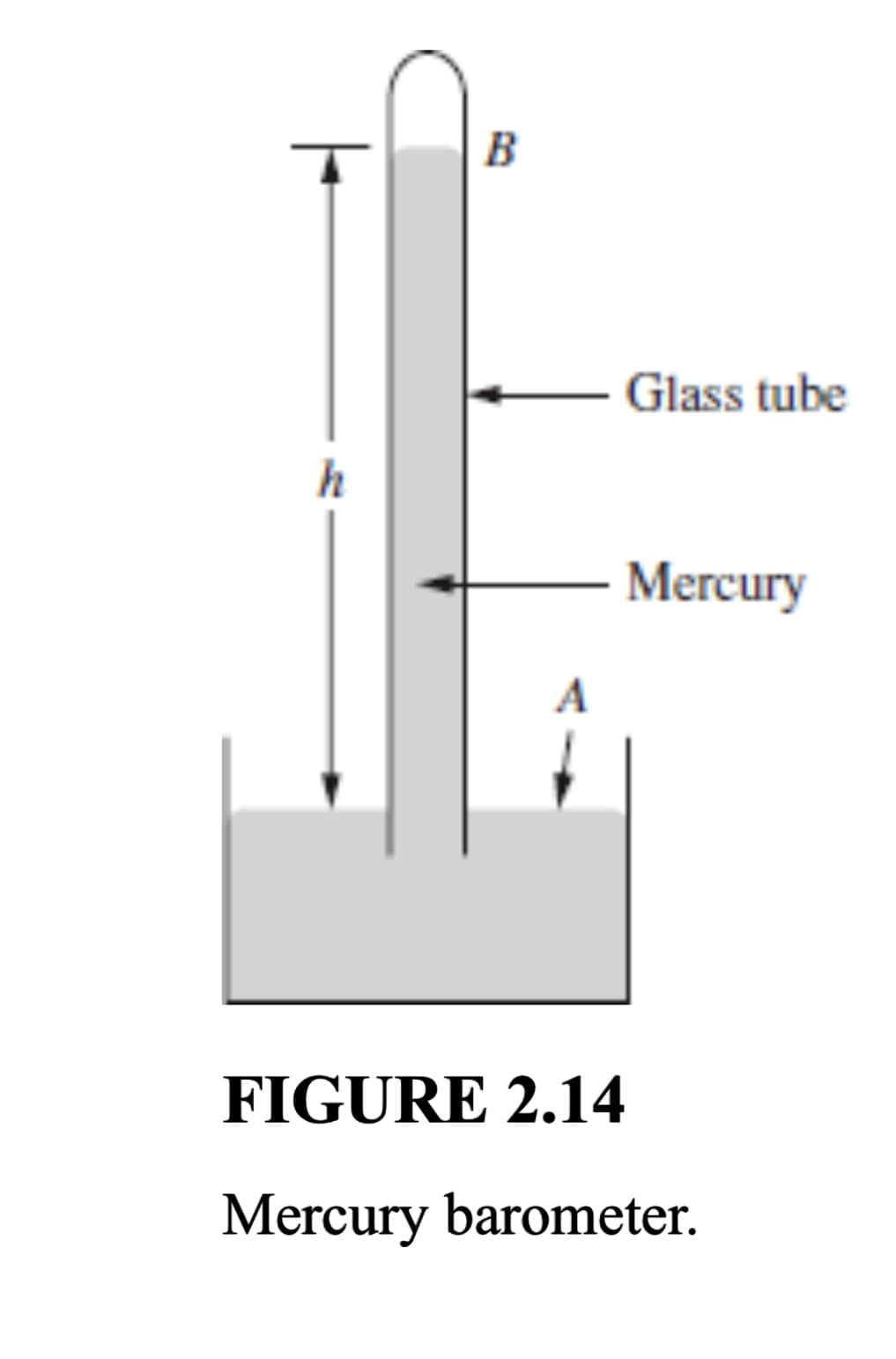 h
B
A
Glass tube
Mercury
FIGURE 2.14
Mercury barometer.