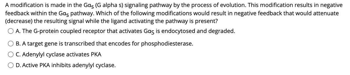 A modification is made in the Gas (G alpha s) signaling pathway by the process of evolution. This modification results in negative
feedback within the Gas pathway. Which of the following modifications would result in negative feedback that would attenuate
(decrease) the resulting signal while the ligand activating the pathway is present?
A. The G-protein coupled receptor that activates Gas is endocytosed and degraded.
B. A target gene is transcribed that encodes for phosphodiesterase.
C. Adenylyl cyclase activates PKA
O D. Active PKA inhibits adenylyl cyclase.
