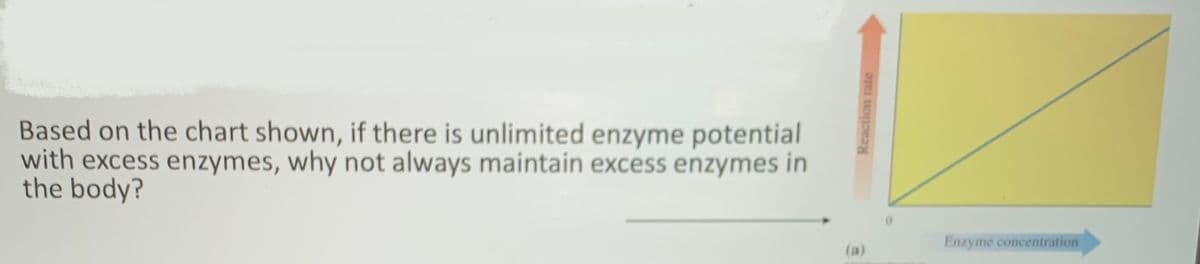 Based on the chart shown, if there is unlimited enzyme potential
with excess enzymes, why not always maintain excess enzymes in
the body?
Enzyme concentration
(a)
Reaction rate

