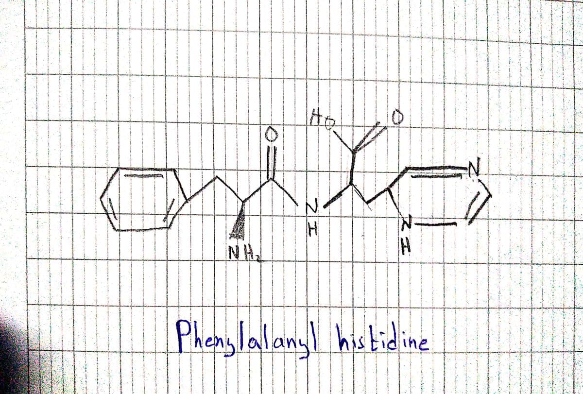 NH
Phenylalany histidine
