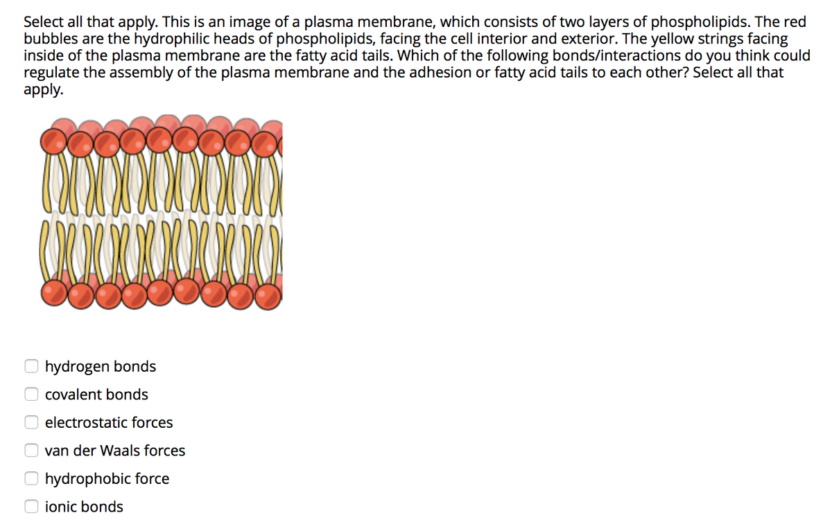 Select all that apply. This is an image of a plasma membrane, which consists of two layers of phospholipids. The red
bubbles are the hydrophilic heads of phospholipids, facing the cell interior and exterior. The yellow strings facing
inside of the plasma membrane are the fatty acid tails. Which of the following bonds/interactions do you think could
regulate the assembly of the plasma membrane and the adhesion or fatty acid tails to each other? Select all that
apply.
hydrogen bonds
covalent bonds
electrostatic forces
van der Waals forces
hydrophobic force
ionic bonds
O O 0 0 O 0
