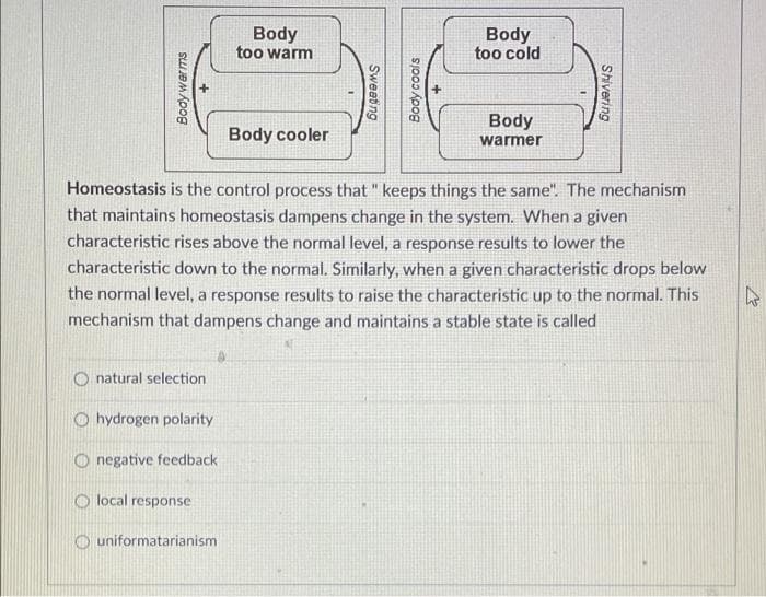 Body
too warm
Body
too cold
Body
Body cooler
warmer
Homeostasis is the control process that " keeps things the same". The mechanism
that maintains homeostasis dampens change in the system. When a given
characteristic rises above the normal level, a response results to lower the
characteristic down to the normal. Similarly, when a given characteristic drops below
the normal level, a response results to raise the characteristic up to the normal. This
mechanism that dampens change and maintains a stable state is called
O natural selection
O hydrogen polarity
O negative feedback
O local response
O uniformatarianism
Shivering
Body cools
Sweating
Body warms
