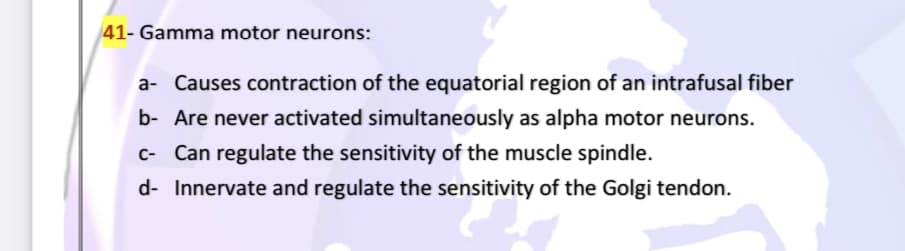 41- Gamma motor neurons:
a- Causes contraction of the equatorial region of an intrafusal fiber
b- Are never activated simultaneously as alpha motor neurons.
c- Can regulate the sensitivity of the muscle spindle.
d- Innervate and regulate the sensitivity of the Golgi tendon.
