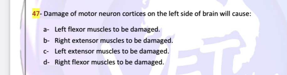 47- Damage of motor neuron cortices on the left side of brain will cause:
a- Left flexor muscles to be damaged.
ET
b- Right extensor muscles to be damaged.
c- Left extensor muscles to be damaged.
d- Right flexor muscles to be damaged.

