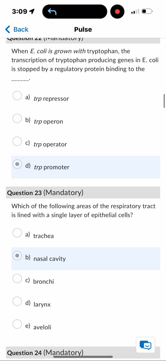 3:09 1
< Back
Pulse
QuestionI 22 (IVIariuatury
When E. coli is grown with tryptophan, the
transcription of tryptophan producing genes in E. coli
is stopped by a regulatory protein binding to the
a) trp repressor
b) trp operon
c) trp operator
d) trp promoter
Question 23 (Mandatory)
Which of the following areas of the respiratory tract
is lined with a single layer of epithelial cells?
a) trachea
b) nasal cavity
c) bronchi
d) larynx
e) aveloli
Question 24 (Mandatory)
D