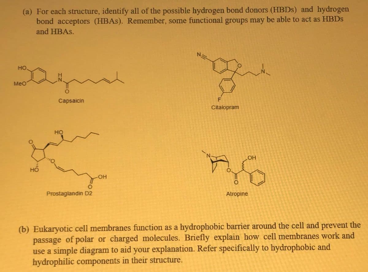 (a) For each structure, identify all of the possible hydrogen bond donors (HBDS) and hydrogen
bond acceptors (HBAS). Remember, some functional groups may be able to act as HBDS
and HBAS.
HO
MeO
Capsaicin
Citalopram
HO
HO
HO
HO-
Prostaglandin D2
Atropine
(b) Eukaryotic cell membranes function as a hydrophobic barrier around the cell and prevent the
passage of polar or charged molecules. Briefly explain how cell membranes work and
use a simple diagram to aid your explanation. Refer specifically to hydrophobic and
hydrophilic components in their structure.

