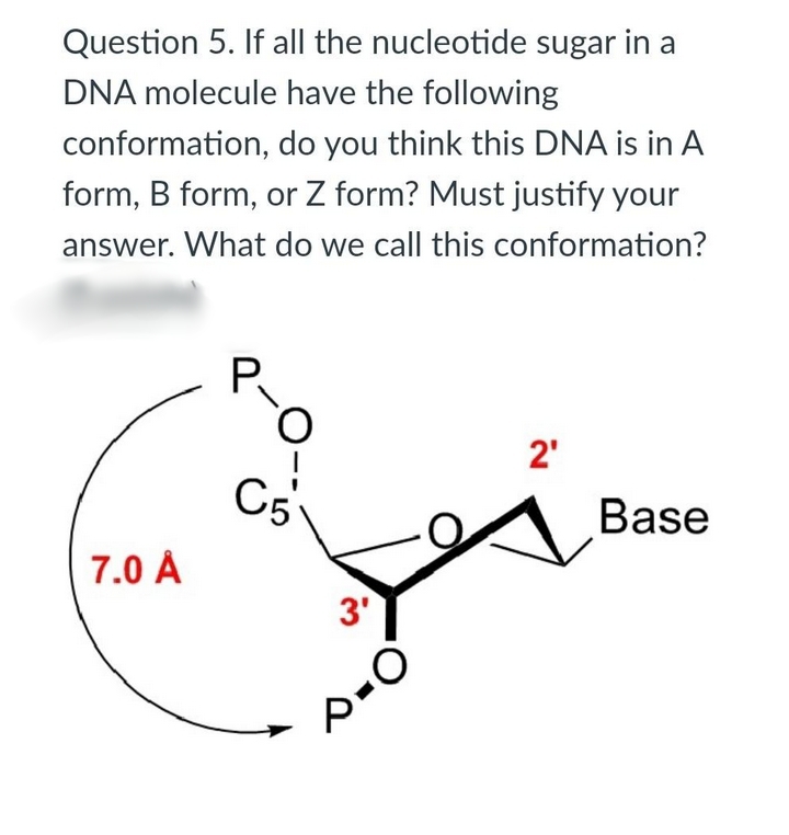 Question 5. If all the nucleotide sugar in a
DNA molecule have the following
conformation, do you think this DNA is in A
form, B form, or Z form? Must justify your
answer. What do we call this conformation?
O.
2'
C5
Base
7.0 A
3'
P.
