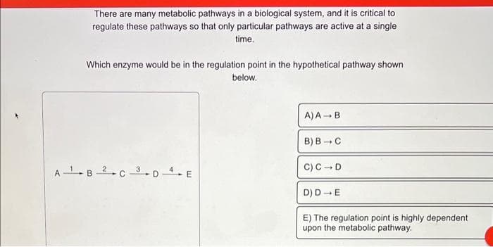 There are many metabolic pathways in a biological system, and it is critical to
regulate these pathways so that only particular pathways are active at a single
time.
Which enzyme would be in the regulation point in the hypothetical pathway shown
below.
A¹B 2C 3 D4E
A) A → B
B) B-C
C) C-D
D) D→ E
E) The regulation point is highly dependent
upon the metabolic pathway.